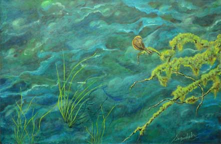 Bird on the River-12