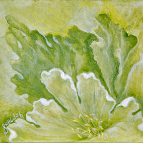 lettuce-12x12$100cad