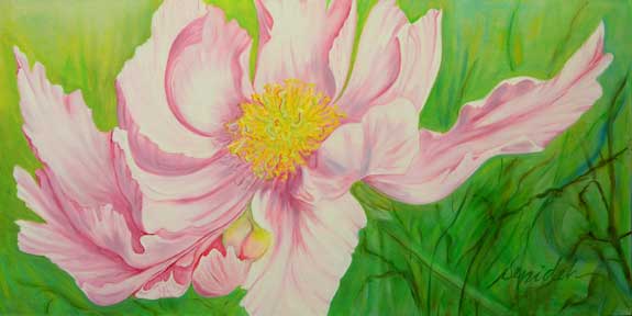 Peony-12