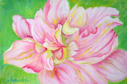 Peony-11
