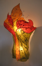 2'x4'$350cnd